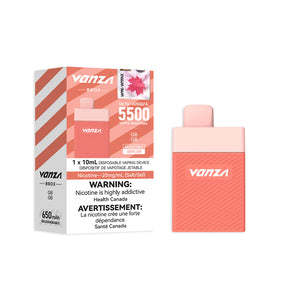 Vanza BBOX 5500 Disposable Vape