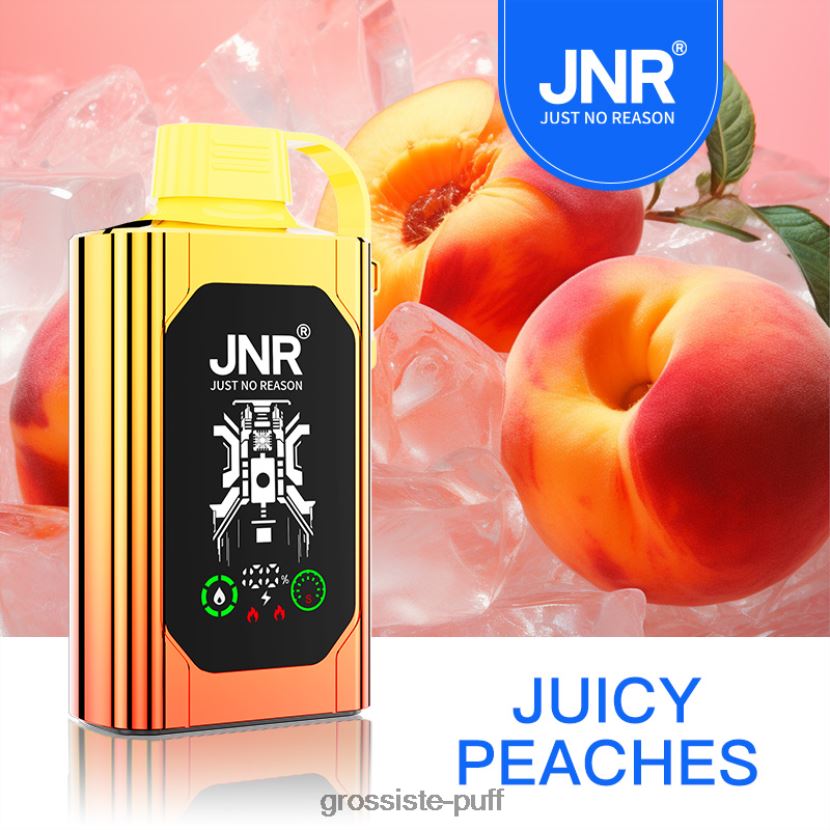 JNR Shisha Hookah 30K Disposable Vape [ON]