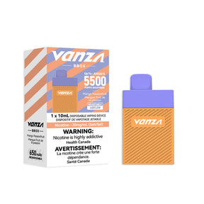 Vanza BBOX 5500 Disposable Vape