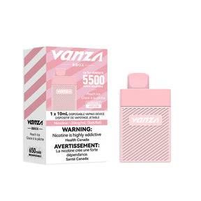 Vanza BBOX 5500 Disposable Vape