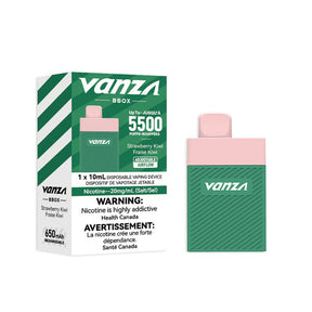 Vanza BBOX 5500 Disposable Vape