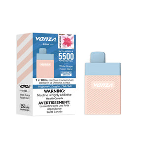 Vanza BBOX 5500 Disposable Vape