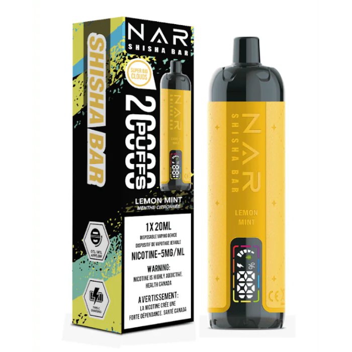 Nar Shisha Bar 20K Disposable Vape
