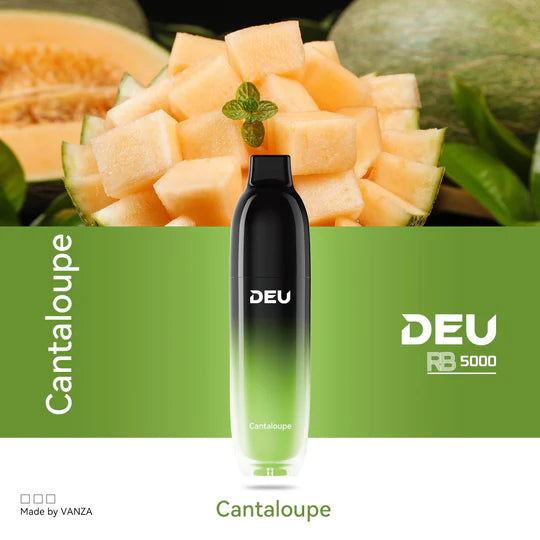 DEU RB5000 Disposable Vape [ON]