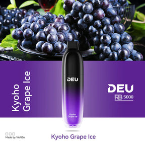 DEU RB5000 Disposable Vape [ON]