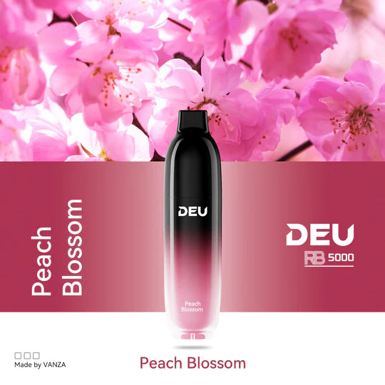 DEU RB5000 Disposable Vape [ON]