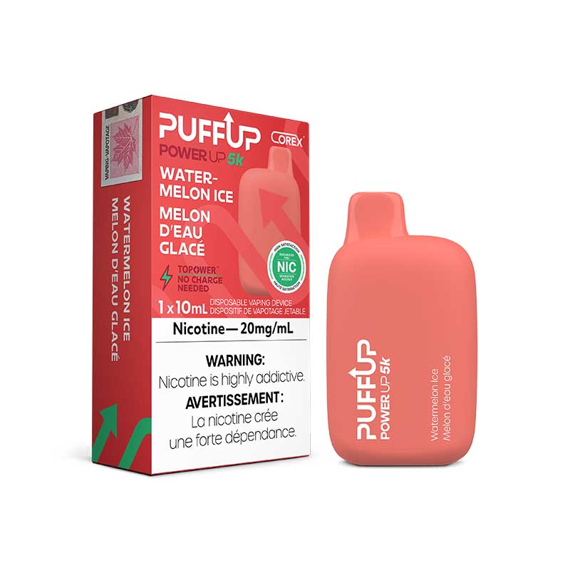 PuffUP Power Up 5K Disposable
