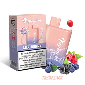 Vapeman B6000 Disposable Vape