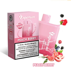 Vapeman B6000 Disposable Vape