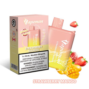 Vapeman B6000 Disposable Vape